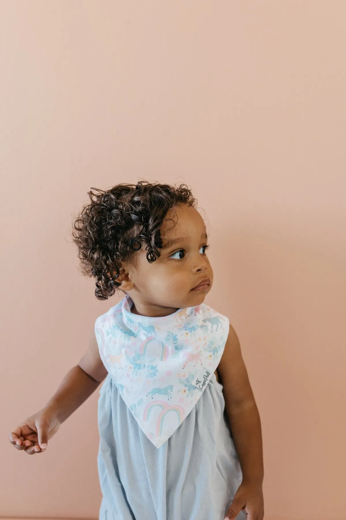 Bandana Bib Set of 4- Whimsy