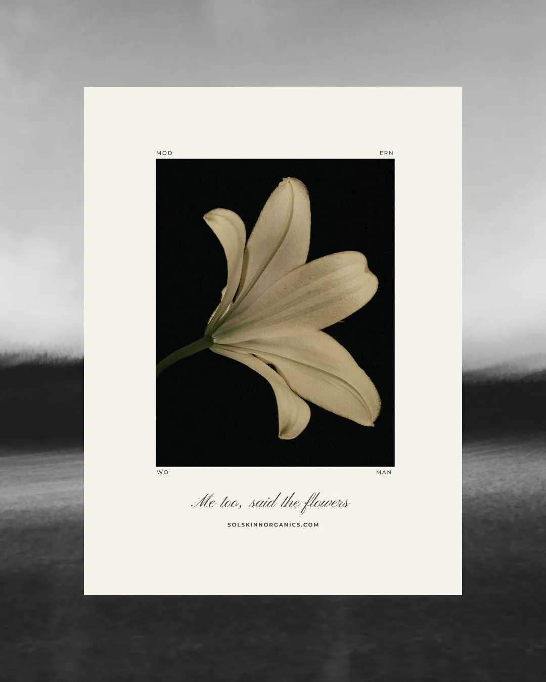 Botanical Art Print Oversized Tee No.1 {Giving Back}