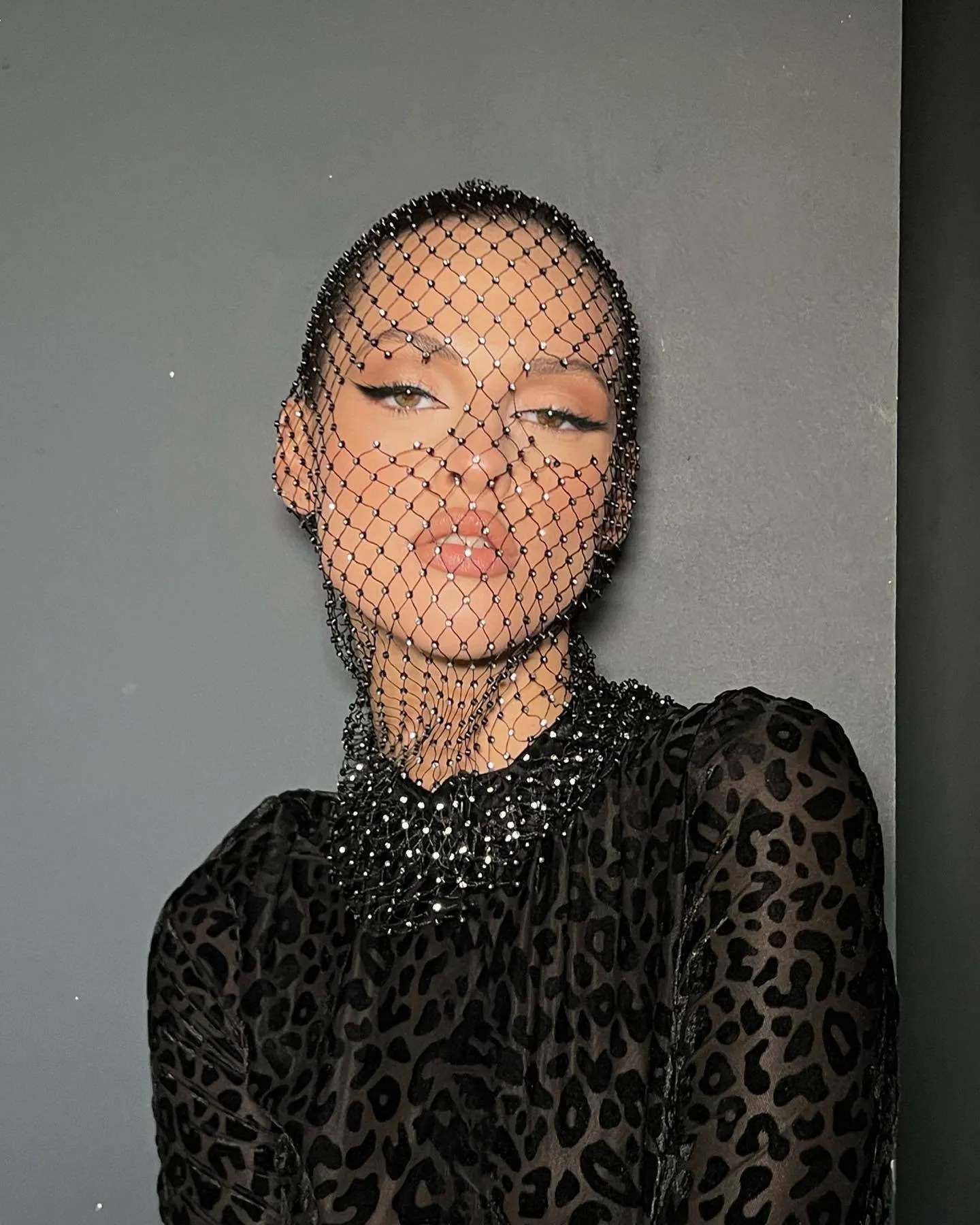 Glamorous Rhinestone Fishnet Face Veil Hood for Parties and Events