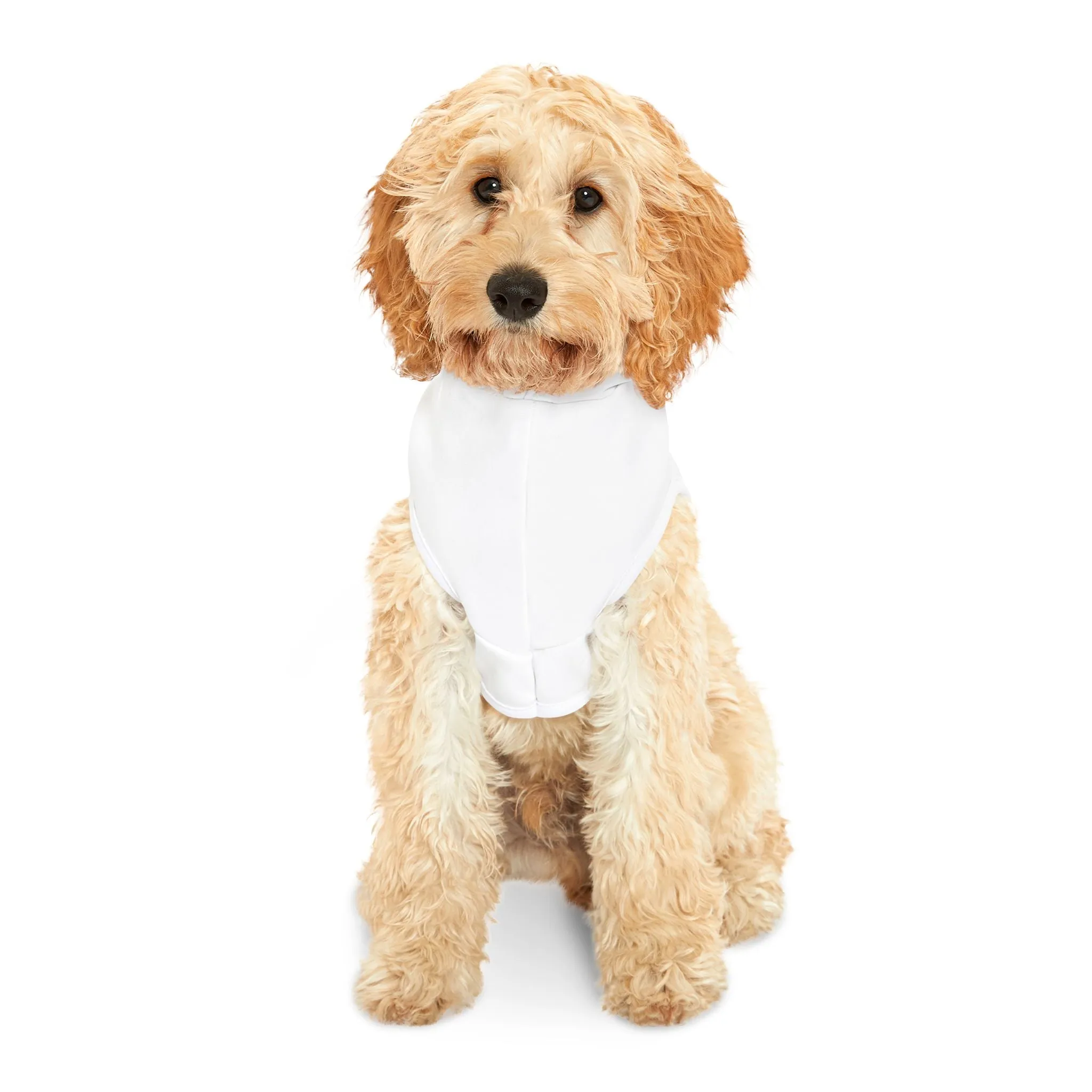 'Have Your People Call My People' Green Font Pet Hoodie