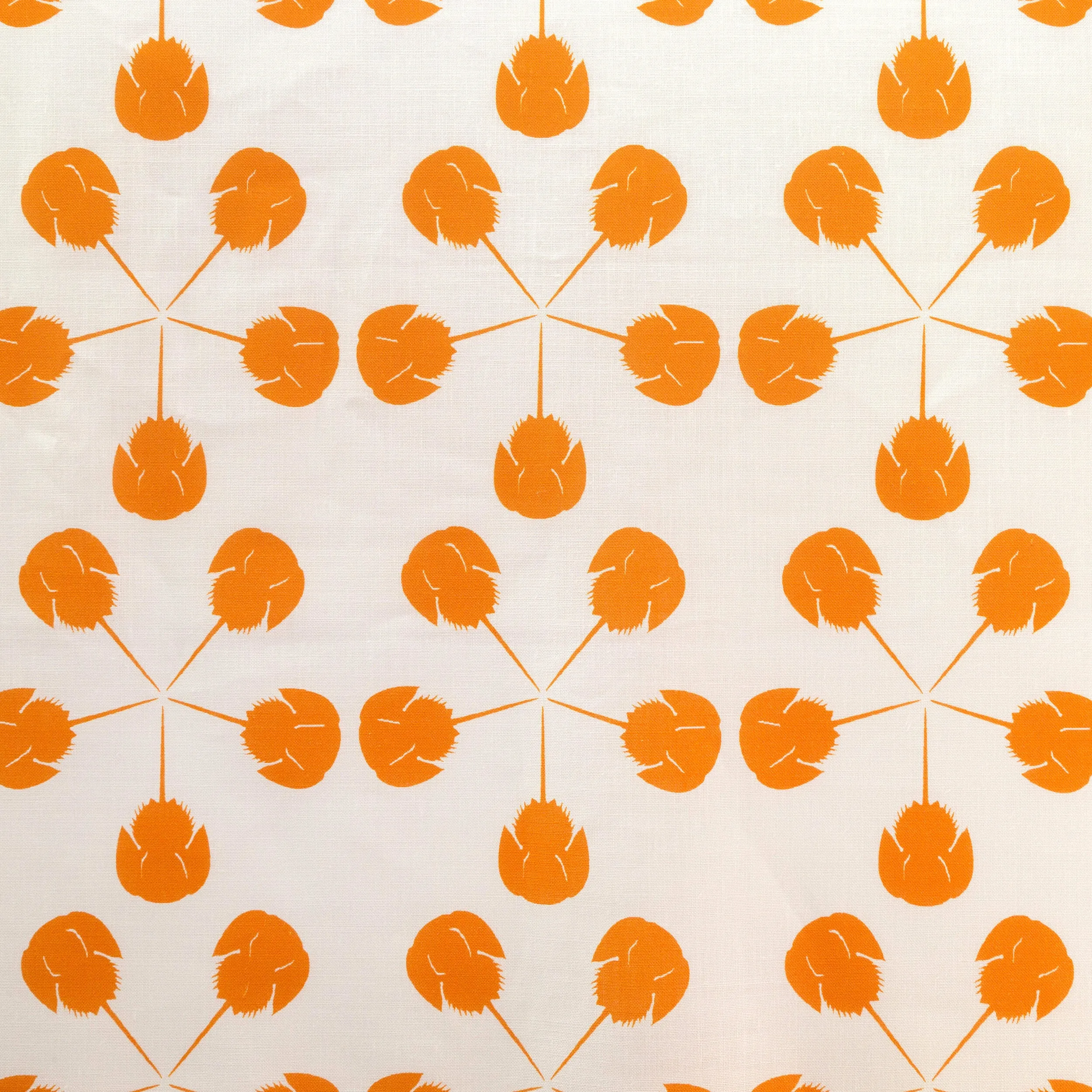 Horseshoe Crab Medium Fabric - Orange