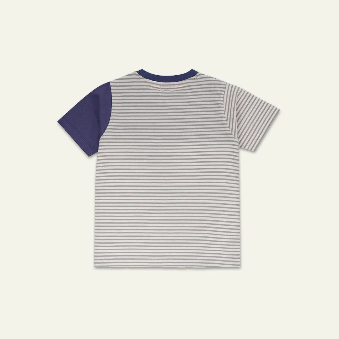 Multicoloured Stripe Print T-Shirt