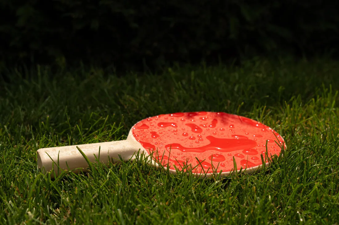 Raquette de ping pong résistante - PPR 100