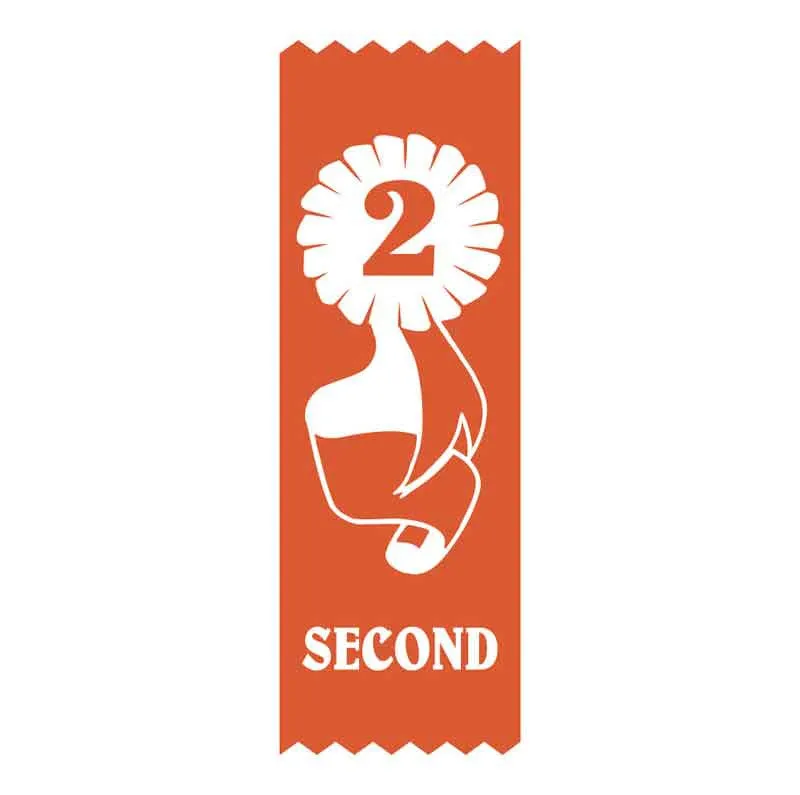 SR2 2nd Place Vinyl Ribbon
