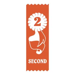 SR2 2nd Place Vinyl Ribbon